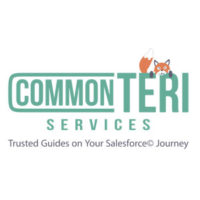 CommonTeri Services Logo