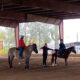 Camelot Therapeutic Horsemanship in Scottsdale AZ, has opening for Vol Coord and/or CTRI.