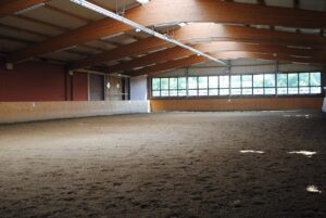 Does the Space Where your Sessions are Taking Place Matter - Equine Committee Tip