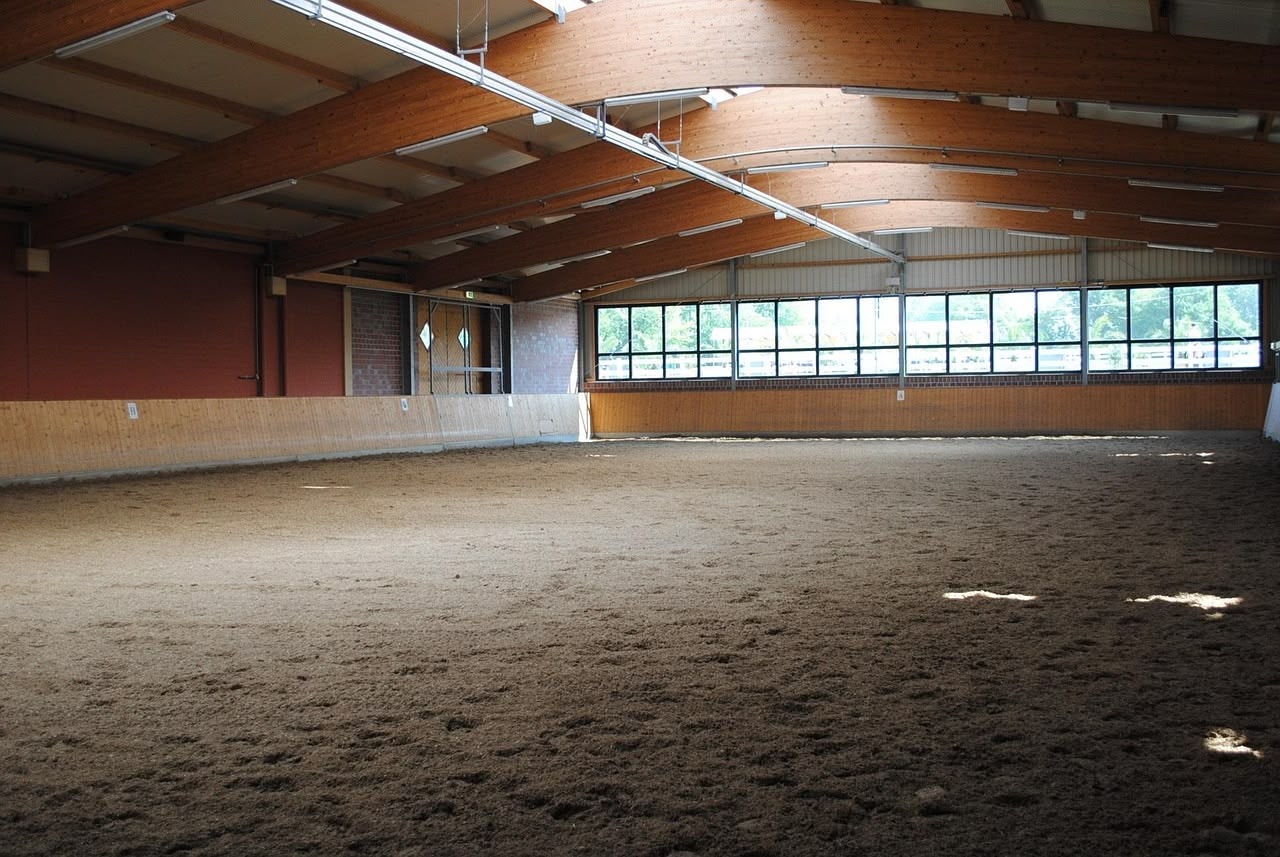 Does the Space Where your Sessions are Taking Place Matter - Equine Committee Tip
