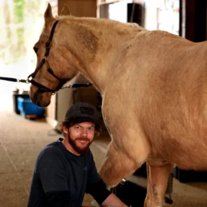 Equine Welfare Committee e-Tip Choosing a Farrier and Being a Good Client