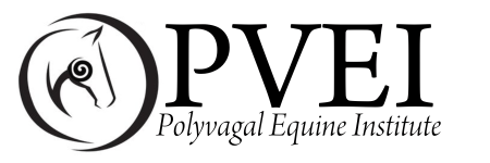 Polyvagal Equine Institute (PVEI) Logo